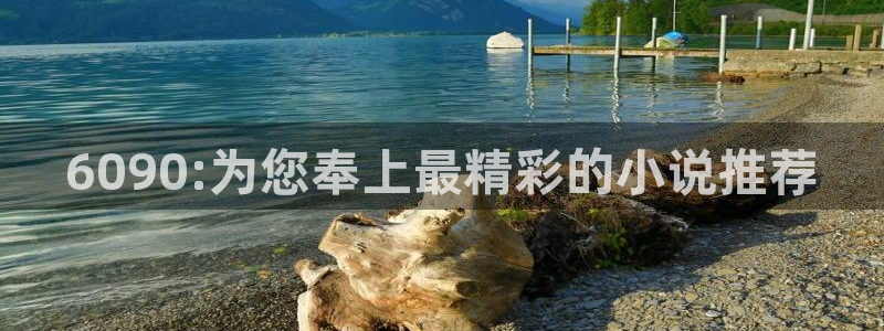 黑桃花成人精品影院：6090:为您奉上最精彩的小说推荐