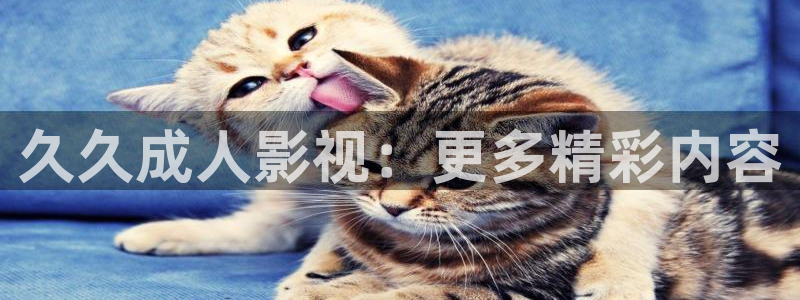 桃花岛4d私人影院：久久成人影视：更多精彩内容