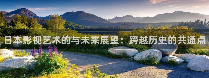 桃花www在线观看：日本影视艺术的与未来展望：跨越历史的共通点