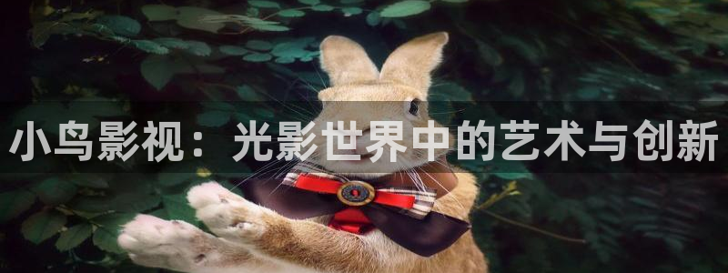 桃花影院手机免费观看：小鸟影视：光影世界中的艺术与创新